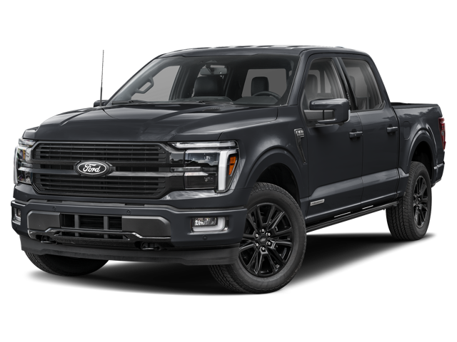 2025 Ford F-150 Platinum in Agate Black Metallic exterior paint