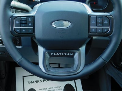 2025 Ford F-250SD Platinum