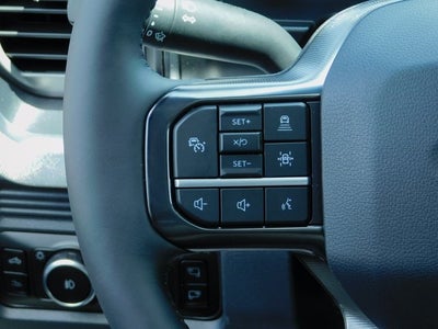 2025 Ford F-250SD Platinum