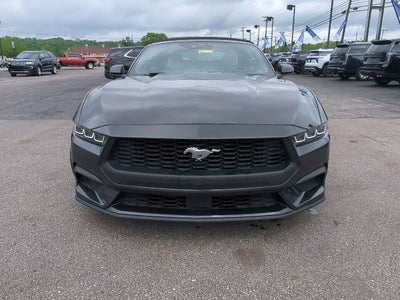 2024 Ford Mustang EcoBoost Premium