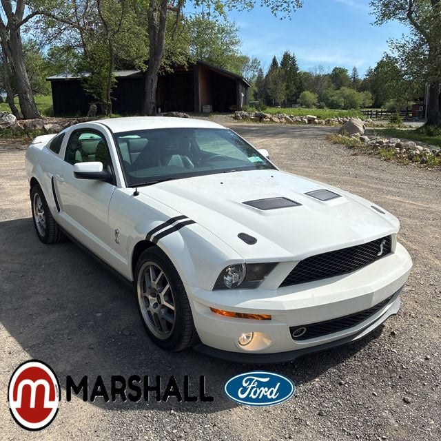 2009 Ford Mustang's photo