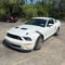 2009 Ford Mustang Shelby GT500